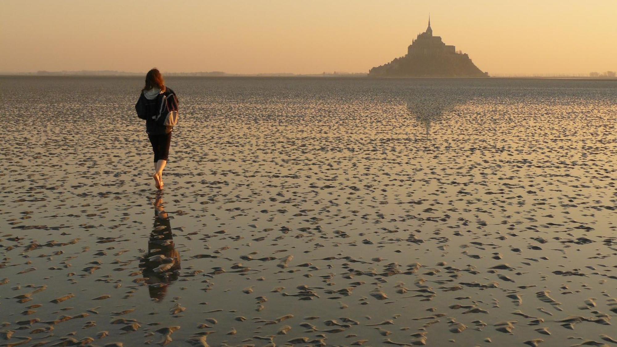 Chateau De Bouceel - Mont Saint Michel Vergoncey Exteriér fotografie